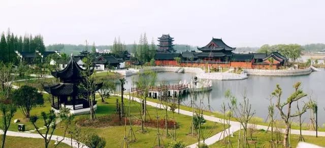 灌南人口有多少_灌南苦菜图片