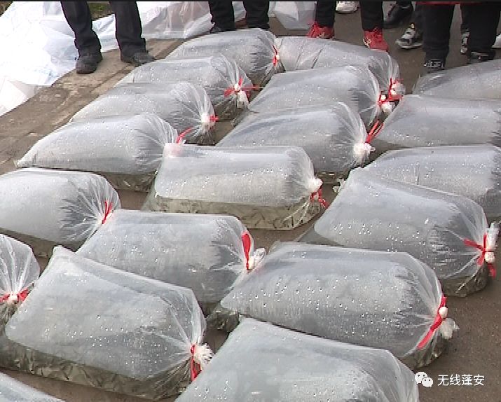 蓬安经济总量_蓬安袁菱监狱照片