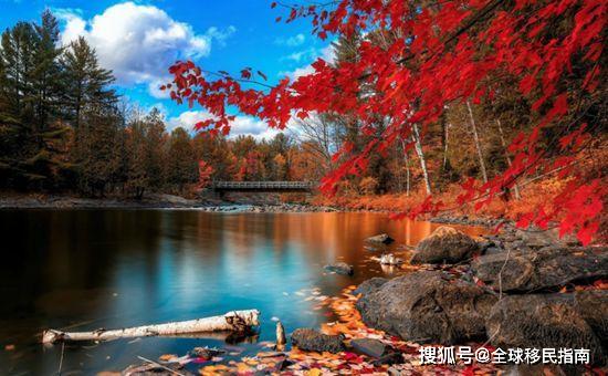 同样是移民去说英语的国家,加拿大和新西兰到