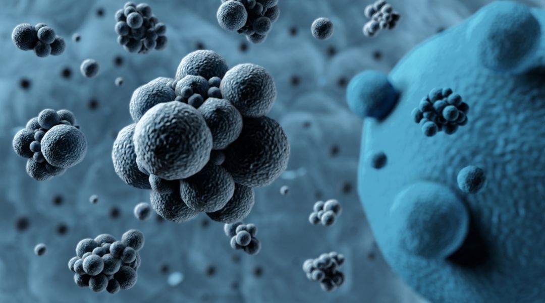 太黑心了!珠海有人贩卖死猪肉,被判刑了