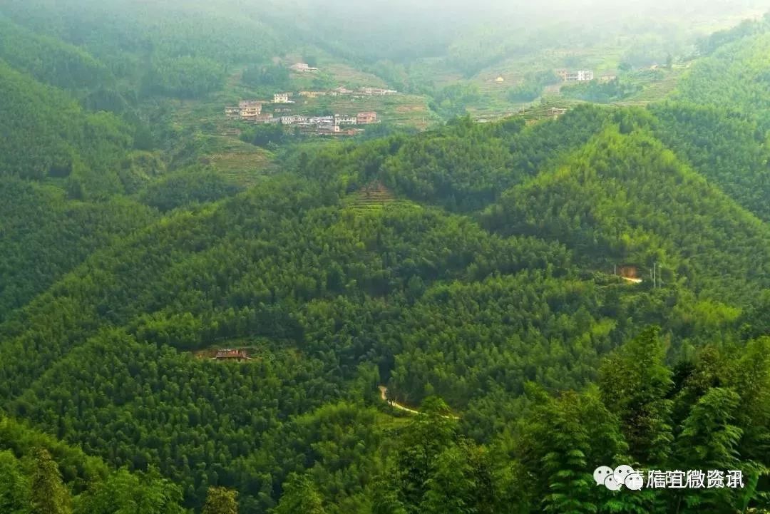 马安山多少人口_马安山花园(3)