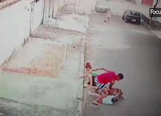 巴西一男子与恶犬搏斗解救被袭击男童 被赞英雄