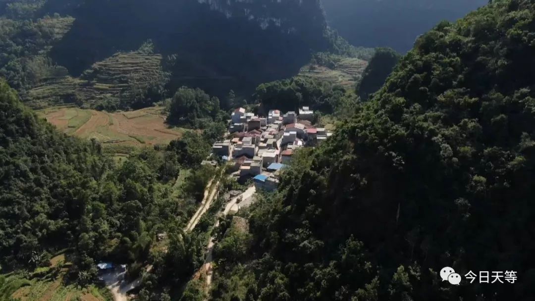 天等县人口_天等县地图(2)