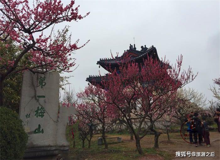 可能是因为周末的缘故,景区内人非常多,幸好梅花山比较大,梅花比较多