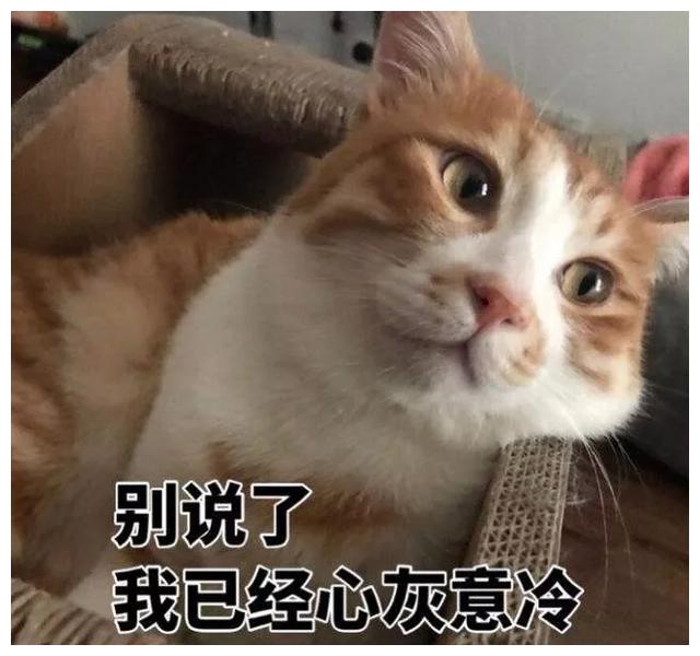 b9e2e438749c4418a80ffd596e370770.jpeg