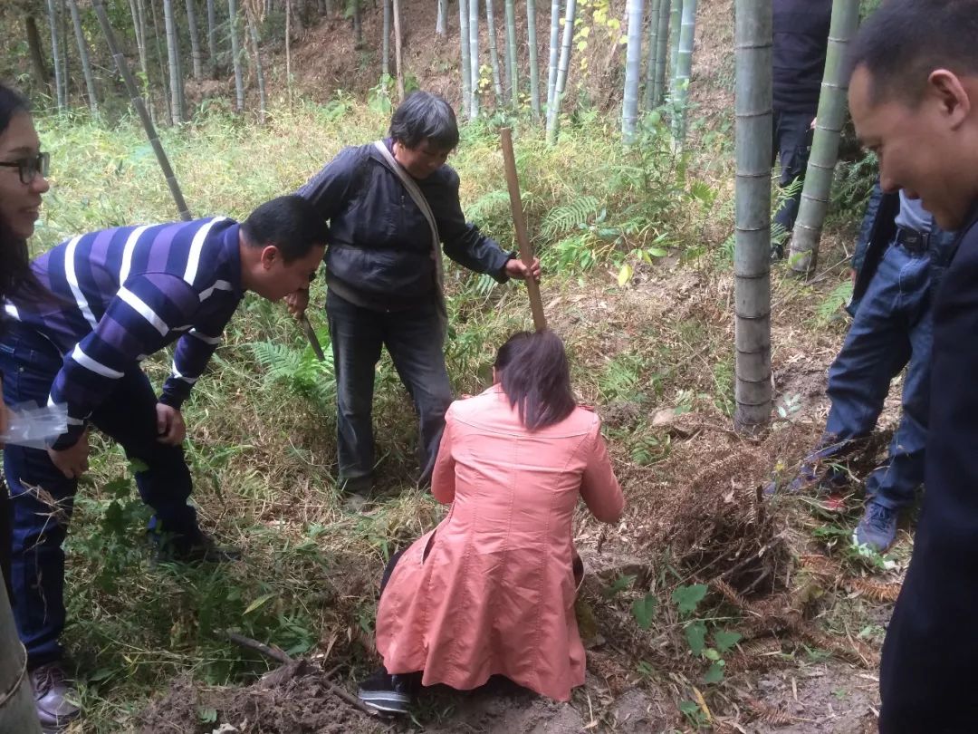 永建镇永平村人口_永平镇老大图(2)