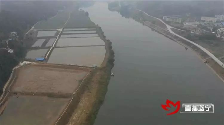 射洪市天仙镇飞跃村紧邻梓江,三面环水 借助有力的地理条件 该村引进