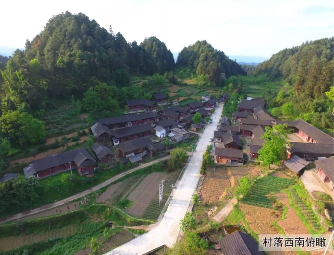 务川这个村一栋栋错落有致的吊脚小木屋依山而建一幅生机盎然的乡村