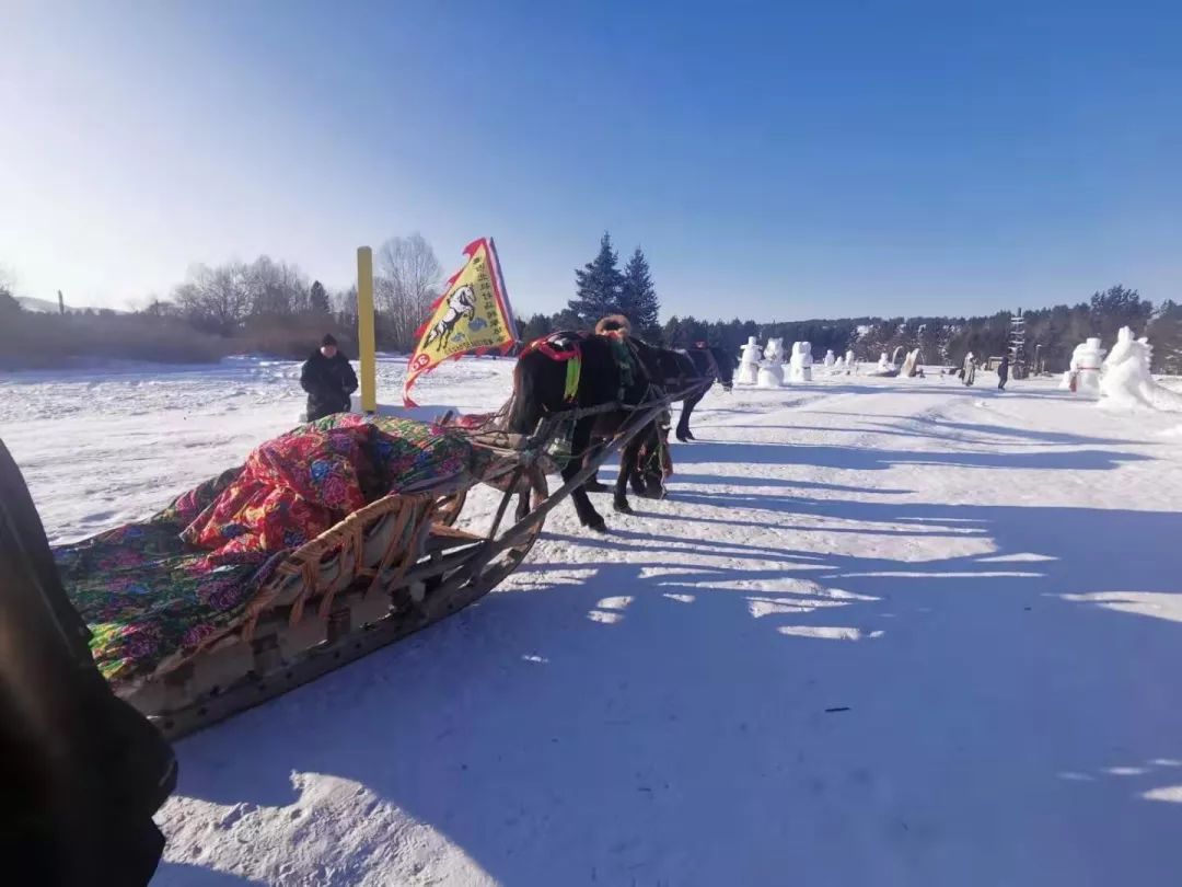 漠河市人口_中国最北城市 漠河 谷雨节气迎飞雪(2)