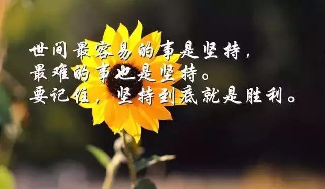 d4598db78ec343008f84efb75e6dc8b8.JPG