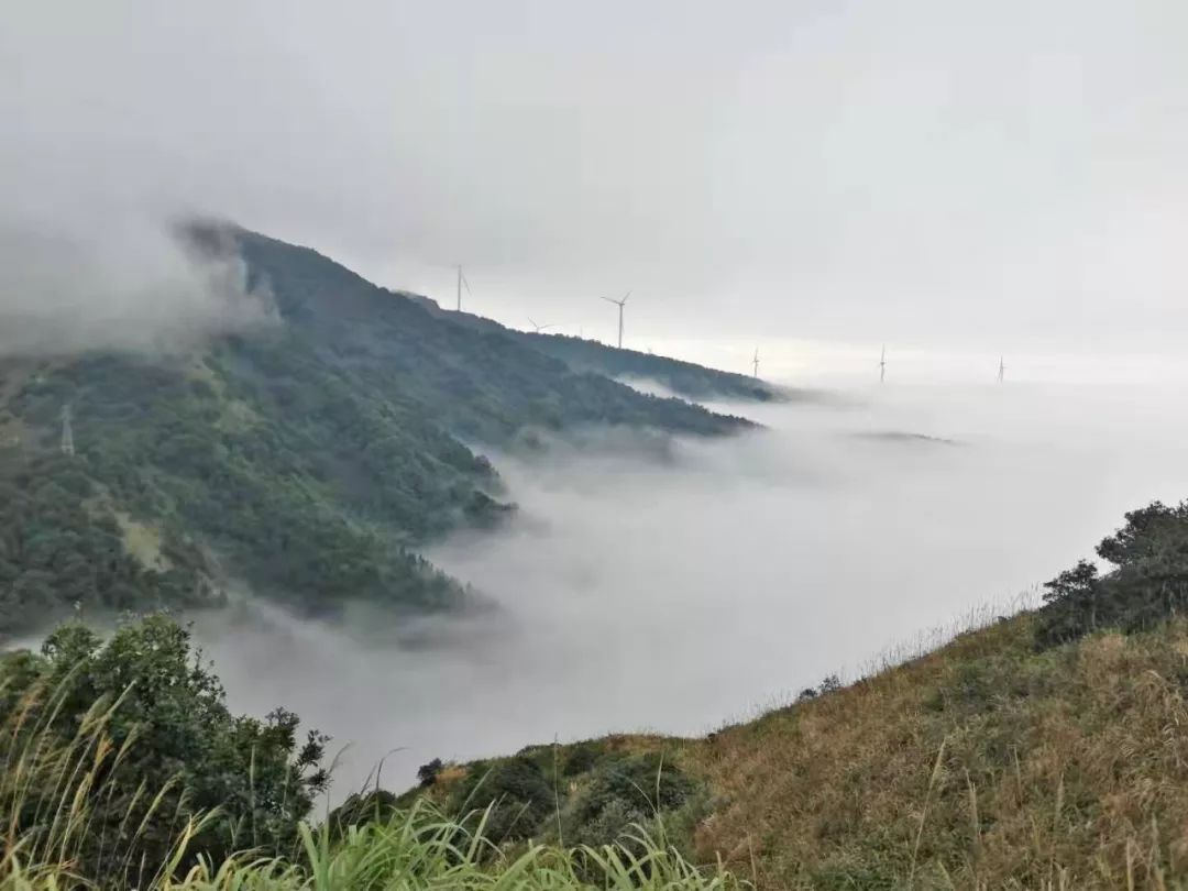 快乐网网友@皮卡梦发帖,大众的心理肯定是这样想:今天天气不是特别