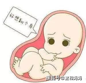 d90a54e55b964b5aafbc1d15bb0ab97f.JPG