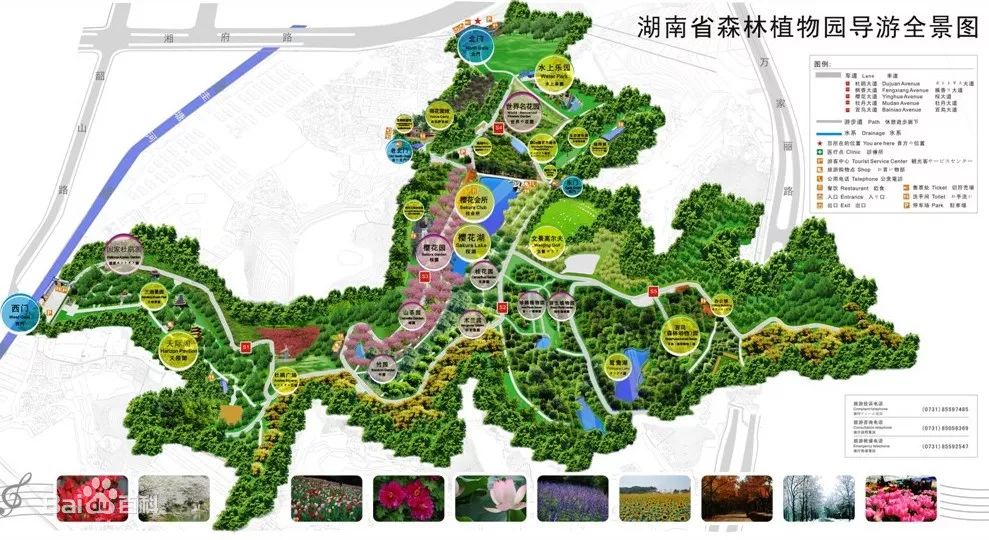 新年第一天跟帮女郎畅游植物园_湖南省