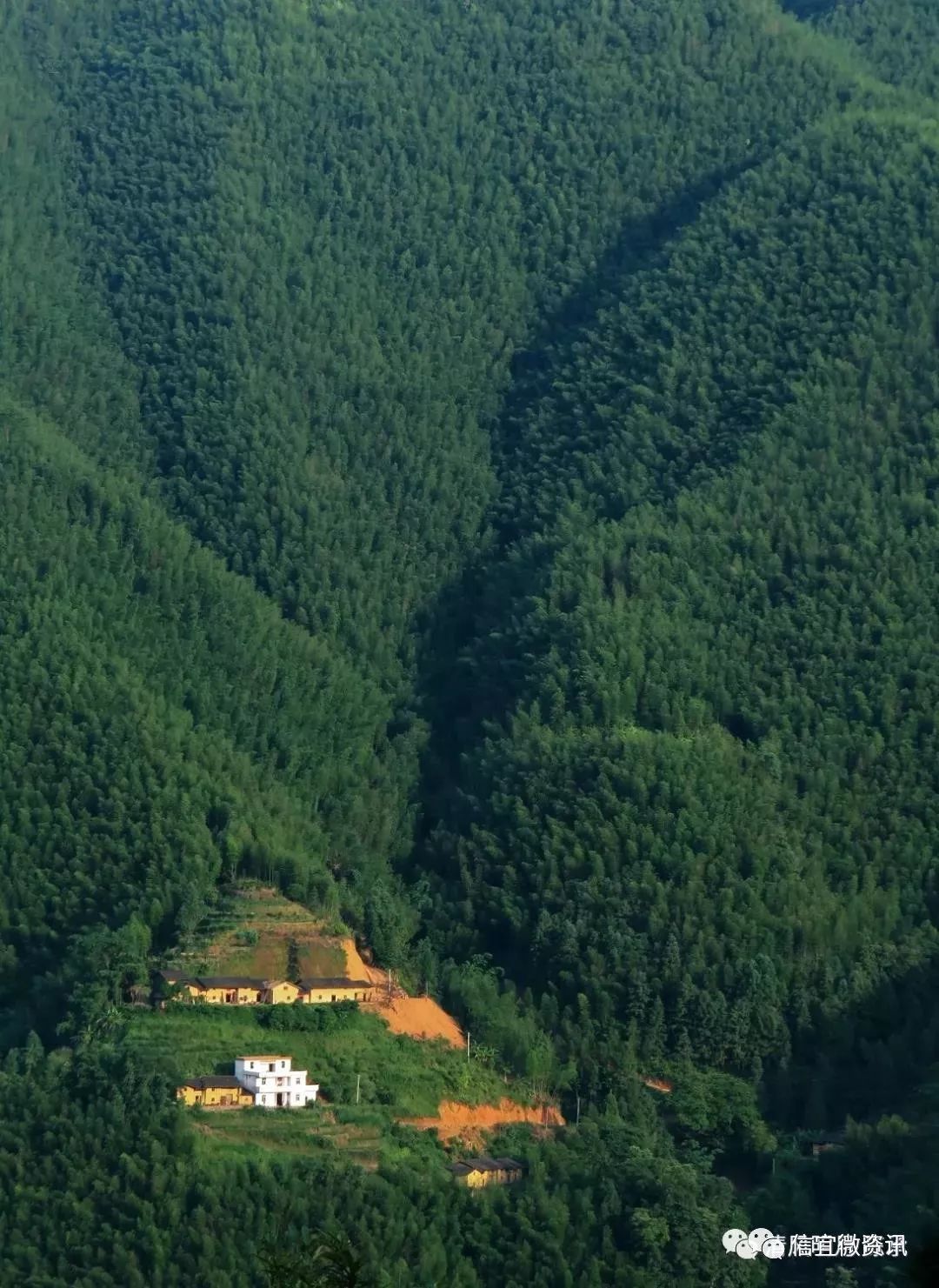 马安山多少人口_马安山花园(3)