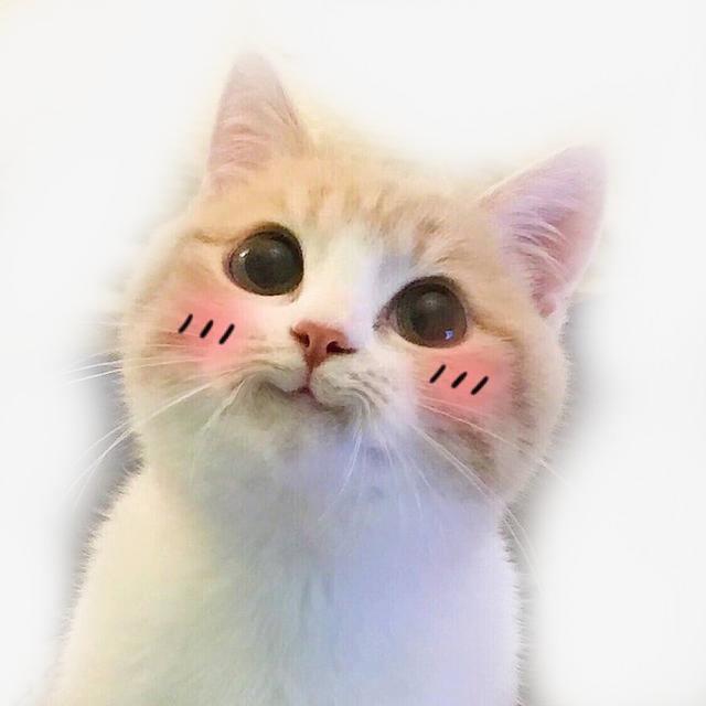 e9a9a02ffb45419290ac82f46914341b.jpeg