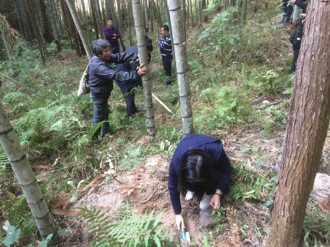 永建镇永平村人口_永平镇老大图(2)