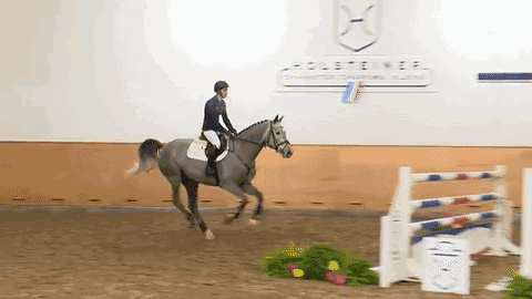f5c71a512c6c41f7ba6ab93a2174397d.gif