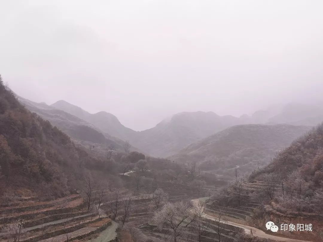阳城人口多少_阳城烧肝