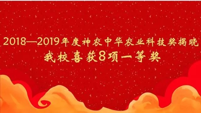 中国农业人口 2019_中国人口(2)