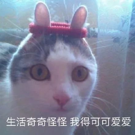 fcc9d23a152e46399d87938ea42a128d.jpeg