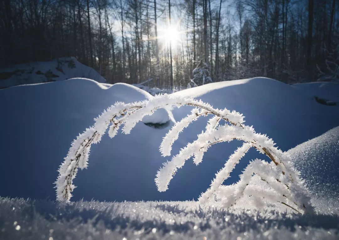 冬天来啦,这里有3个冰雪拍摄的独家技巧!_画面