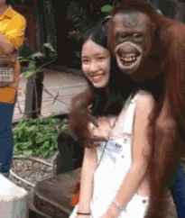 搞笑GIF趣图：这猩猩一看就是老手了，抢着和妹子拍照_媳妇