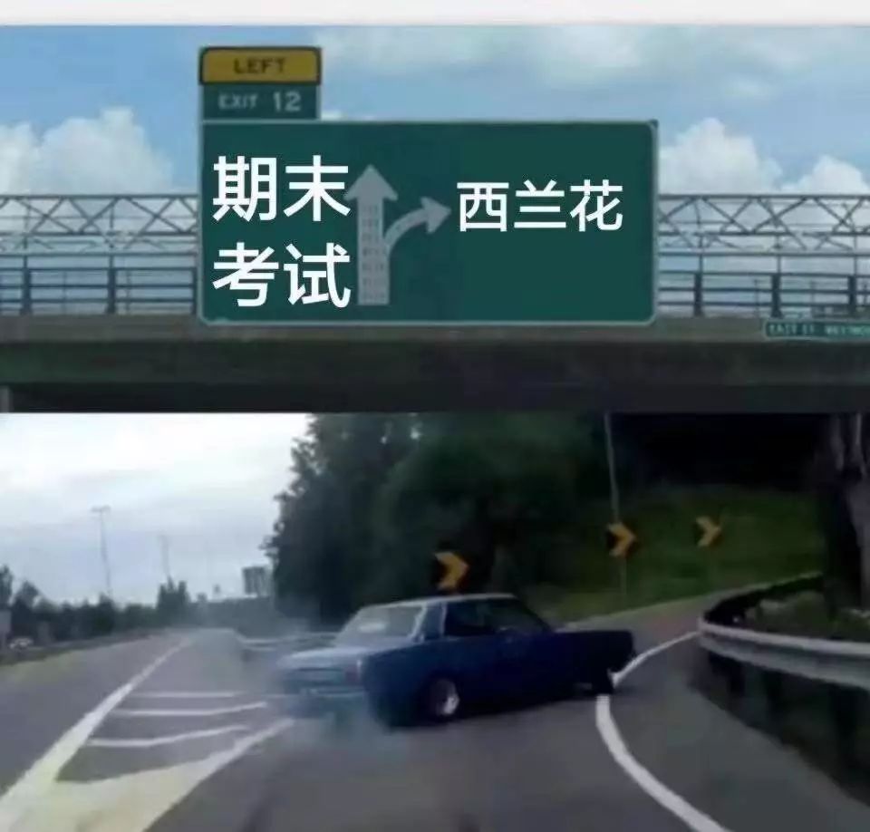 支付宝宣布:河南大学赢了-识物网 - 15NEWS.CN