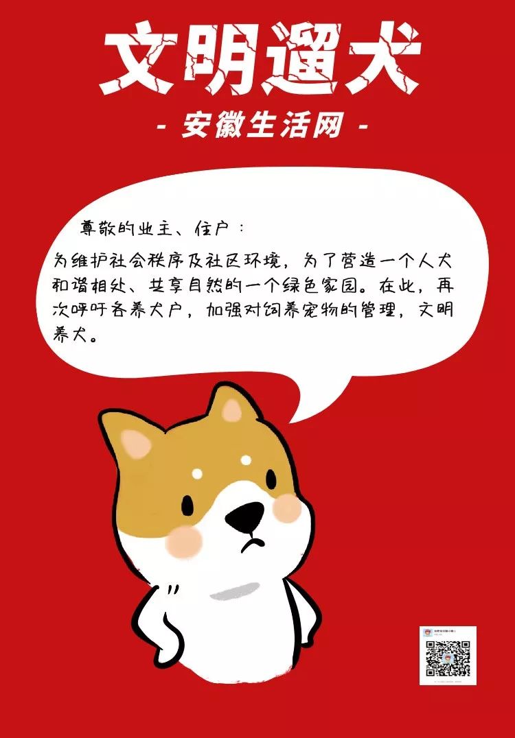 一图看懂《合肥市养犬管理条例》通过了!携犬不牵绳最高罚200!