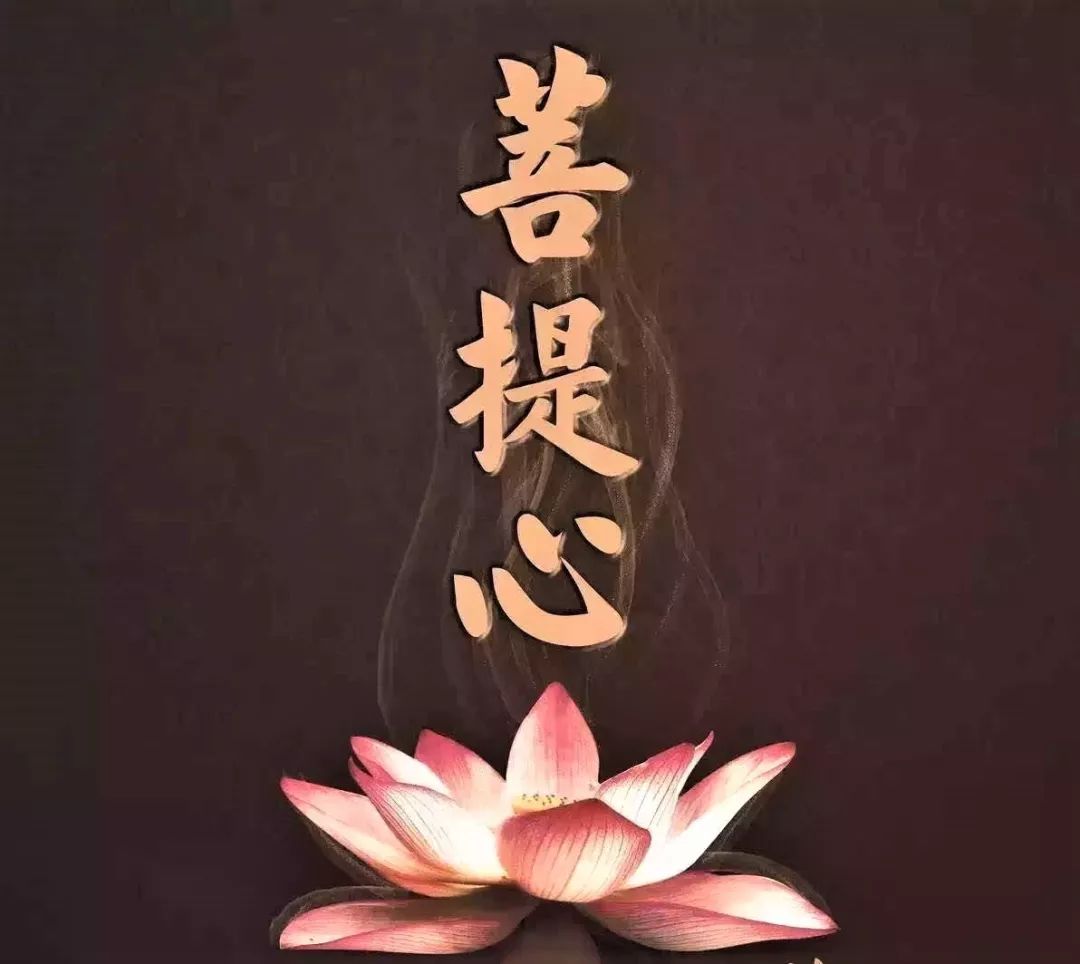 【佛学常识 】 业感缘起