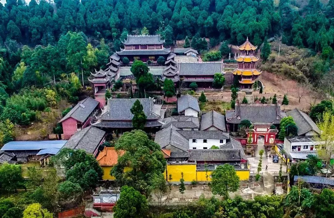 轰动全城!金堂这场活动吸引了美食大咖飞哥,大v和一大波网红
