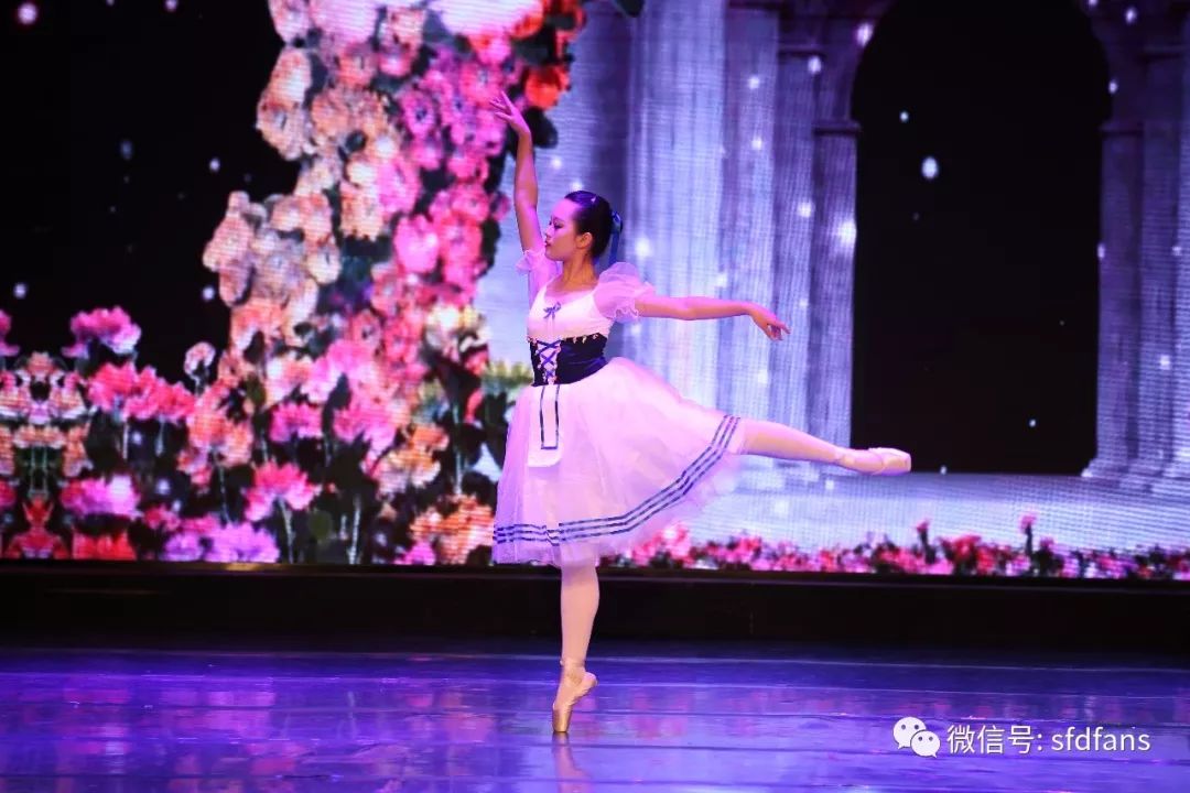 圣福德专场演出唯美落幕,百余张照片,自选开启!_中级班