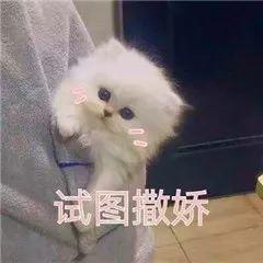 20271779c56941ae902b2ba6d800af6e.jpeg