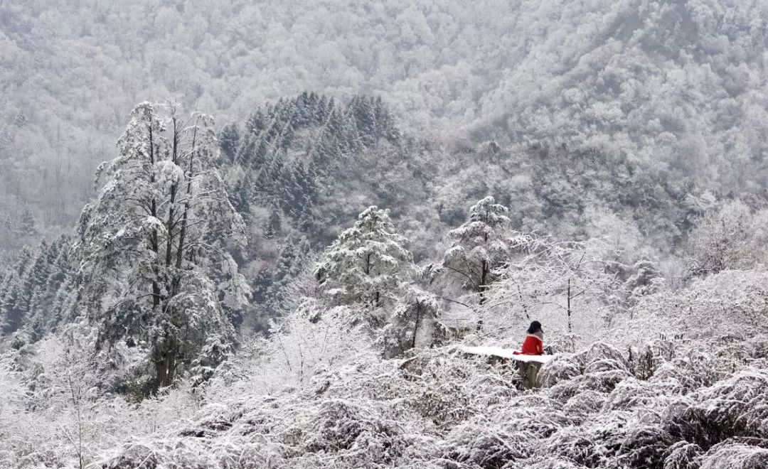 熊猫坪对于爱雪的德阳人民来说,藏着无数雪地秘境的耿达,还是一个非常