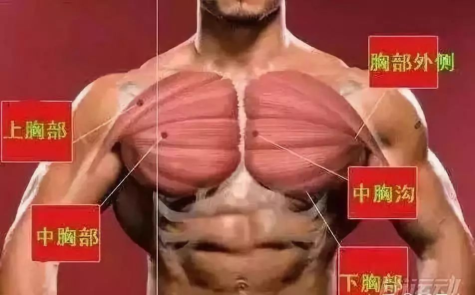 2c7e515d630e4e82851bcb720172d27e.jpeg
