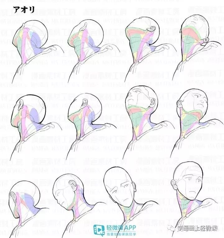 不会画头像?这100张高清素材赶紧收藏!