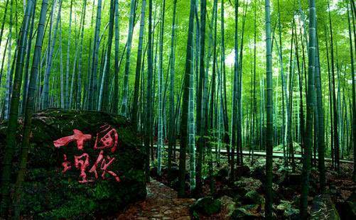 2021茶山竹海景区发布疫情防控最新入园须知
