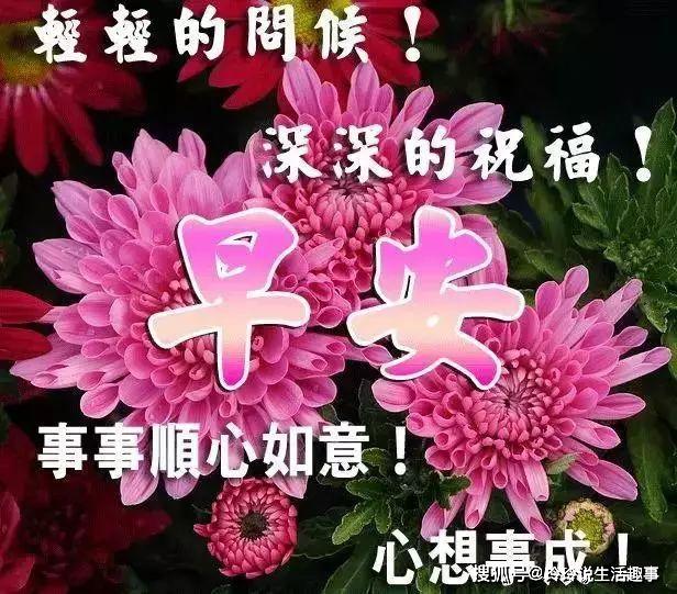 32a472504aa54249ac7c7073a620331d.jpeg