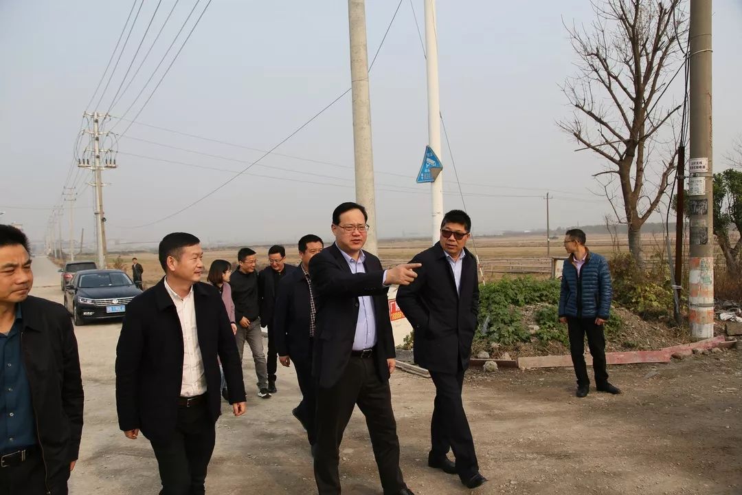 市委组织部部长周培剑一行督查龙山镇淞浦河水质情况