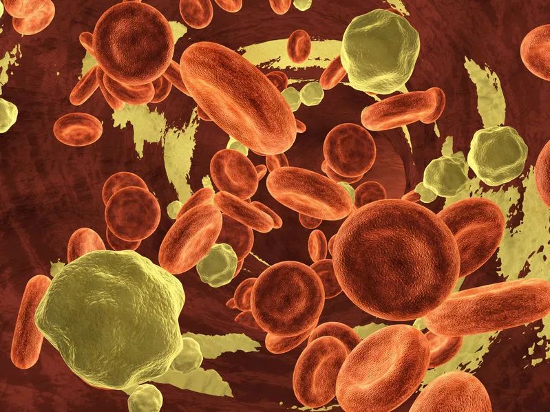 高密度脂蛋白是一种什么的脂蛋白 42a3bf137a8a46338e06f6a962ef930c.jpeg