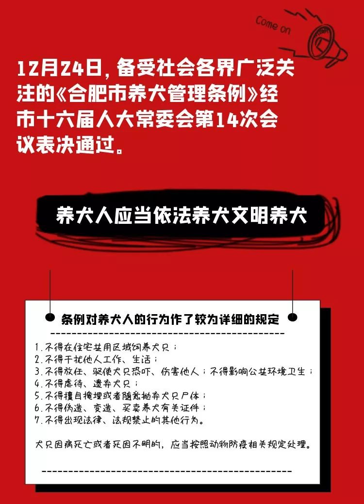 一图看懂《合肥市养犬管理条例》通过了!携犬不牵绳最高罚200!