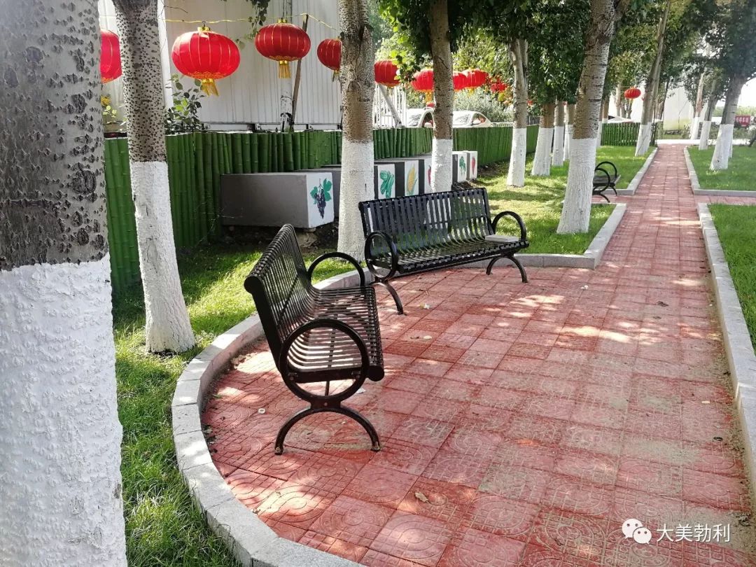 【关注】人大代表提建议 美丽乡村展画卷