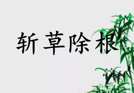 成语故事第373期 斩草除根