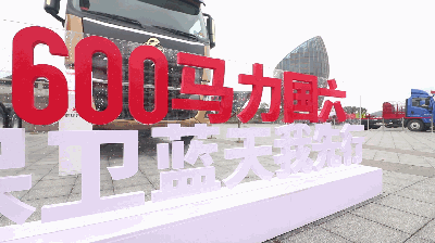 玉柴gdp(3)