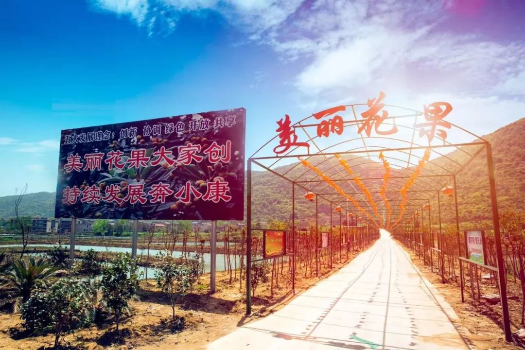 阳新县2020gdp_阳新县地图