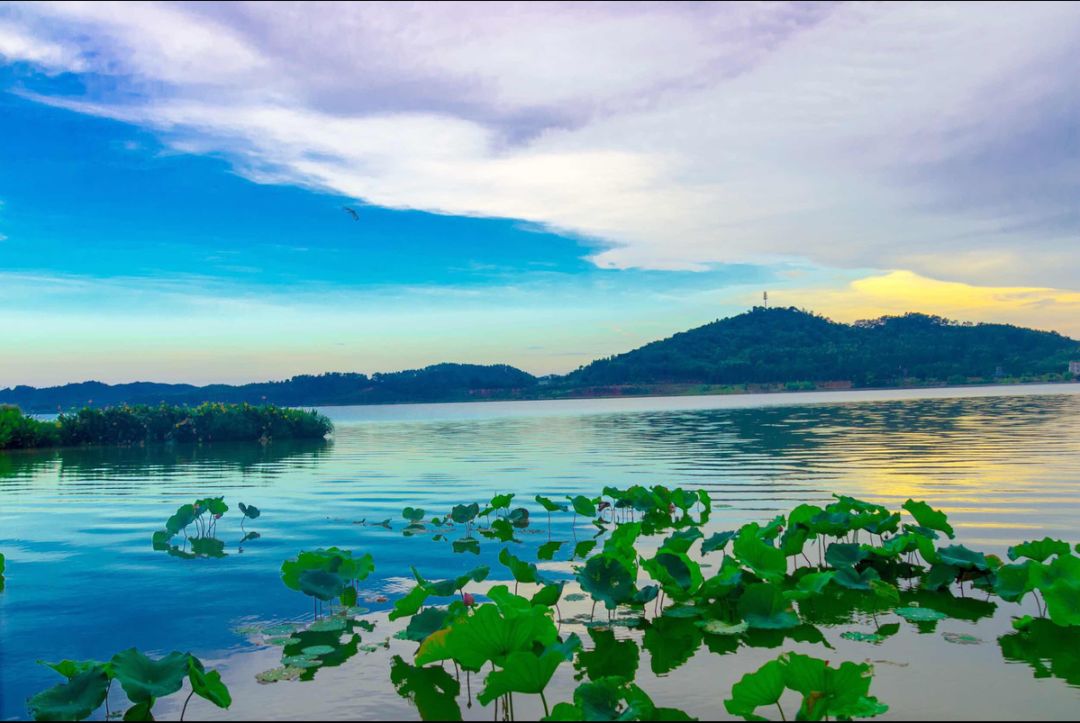 游挂绿湖湖景 沿途风景美如画