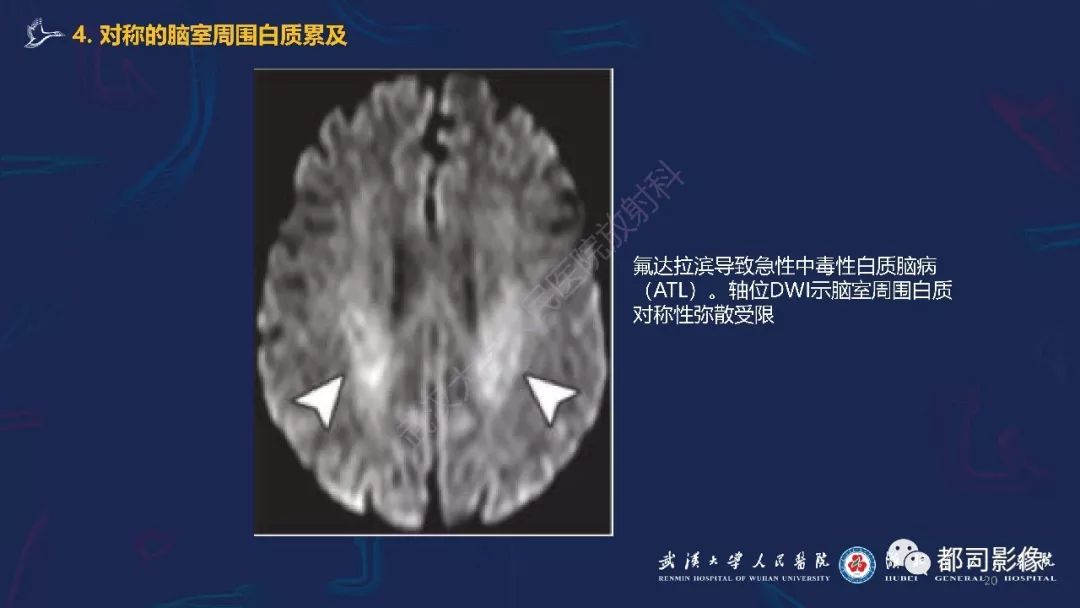 654fed4b1dbc43289d8525b13f19c3d3.jpeg
