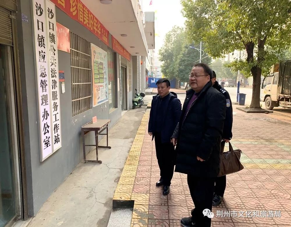 刘宗彪赴洪湖市沙口镇调研督导政法综治工作