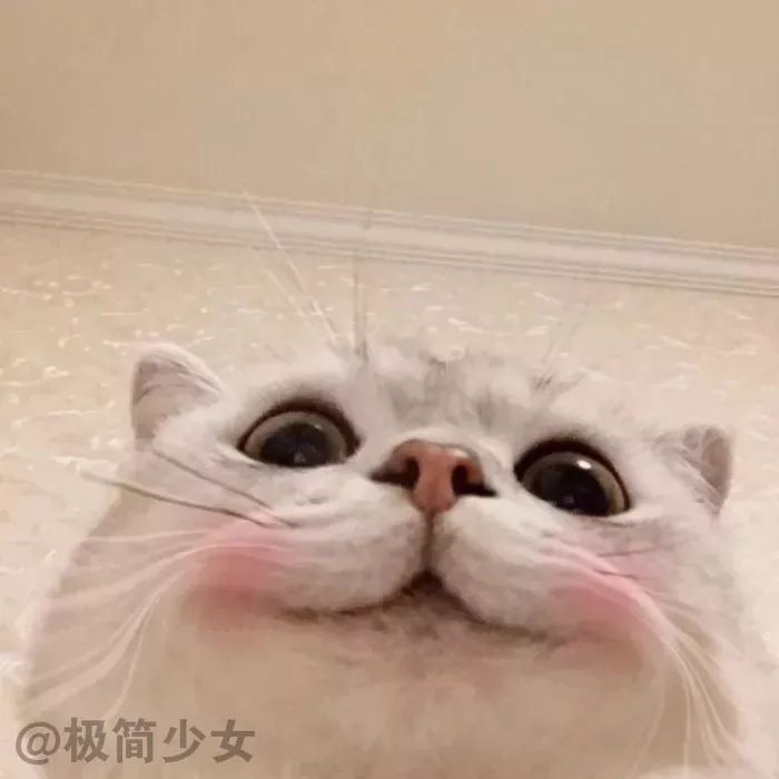 本月抖音最火的十大情侣头像