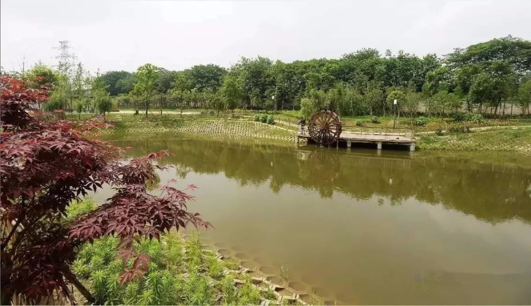 令不少市民望美却步  公园门前的破路太煞风景 近日,家住后湖