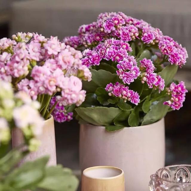 989ea82eeebe4bad8ce5fefac285a6fe.jpeg